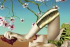 Dining Under Almond Blossoms