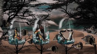 Fashion is the Piranha